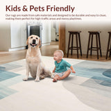 Ultra Soft Area Rug, Non Slip, Stain Resistant, Washable Area Rugs for Living Room, Bedroom, Serene Square Abstract Watercolor Style Beige & Sky Blue Hues(Beige)