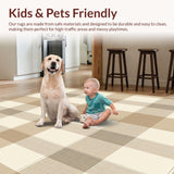 Ultra Soft Area Rug, Non Slip, Stain Resistant, Washable Area Rugs for Living Room, Bedroom, Elegant Beige and Sand Toned Checkered with Layered Plaid Stripes(Beige)