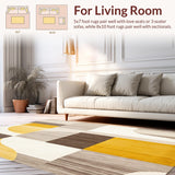 Ultra Soft Area Rug, Non Slip, Stain Resistant, Washable Area Rugs for Living Room, Bedroom, Modern Minimalist Area Elegant Indoor Throw(Gray)