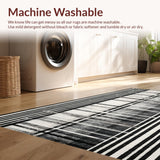 Ultra Soft Area Rug, Non Slip, Stain Resistant, Washable Area Rugs for Living Room, Bedroom, Classic Dual Tone Zebra Inspired Geometric Entryway Decoration(Black)