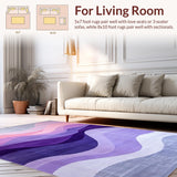 Ultra Soft Area Rug, Non Slip, Stain Resistant, Washable Area Rugs for Living Room, Bedroom, Contemporary Elegant Color Fusion(Purple)