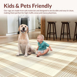 Ultra Soft Area Rug, Non Slip, Stain Resistant, Washable Area Rugs for Living Room, Bedroom, Sophisticated Beige Check Patterned Area with Tan and Off White Lines(Beige)