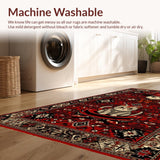 Ultra Soft Area Rug, Non Slip, Stain Resistant, Washable Area Rugs for Living Room, Bedroom, Playful Quirky Cat Aesthetic(Red)