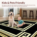 Ultra Soft Area Rug, Non Slip, Stain Resistant, Washable Area Rugs for Living Room, Bedroom, Sophisticated Elegant Lattice Pattern(Black)