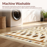 Ultra Soft Area Rug, Non Slip, Stain Resistant, Washable Area Rugs for Living Room, Bedroom, Earth Tone Rug with Elegant Geometric Patterns and Boho Chic Style(Beige)