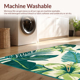 Ultra Soft Area Rug, Non Slip, Stain Resistant, Washable Area Rugs for Living Room, Bedroom, Lively Tropical Floral Arrangement(White)