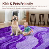 Ultra Soft Area Rug, Non Slip, Stain Resistant, Washable Area Rugs for Living Room, Bedroom, Chic Modern Pastel Fusion(Purple)