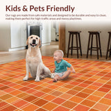 Ultra Soft Area Rug, Non Slip, Stain Resistant, Washable Area Rugs for Living Room, Bedroom, Textured Contemporary Rustic Charm(Orange)
