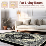 Ultra Soft Area Rug, Non Slip, Stain Resistant, Washable Area Rugs for Living Room, Bedroom, Oriental Distressed Black Ivory Living Room Rug(Black)