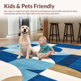Ultra Soft Area Rug, Non Slip, Stain Resistant, Washable Area Rugs for Living Room, Bedroom, Vibrant Area Eco Friendly Reversible Mat for Patios(Blue)