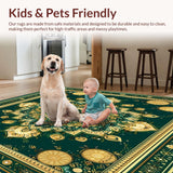 Ultra Soft Area Rug, Non Slip, Stain Resistant, Washable Area Rugs for Living Room, Bedroom, with Ornate(Green)