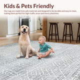 Ultra Soft Area Rug, Non Slip, Stain Resistant, Washable Area Rugs for Living Room, Bedroom, Sleek Geometric Light Grey Motif(Gray)