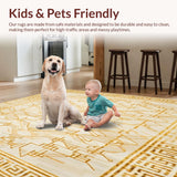 Ultra Soft Area Rug, Non Slip, Stain Resistant, Washable Area Rugs for Living Room, Bedroom, Luxury Beige Gold Area(Gold)