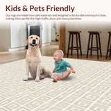 Ultra Soft Area Rug, Non Slip, Stain Resistant, Washable Area Rugs for Living Room, Bedroom, Elegant Area Reflection Collection Neutral Geometric Design(Beige)