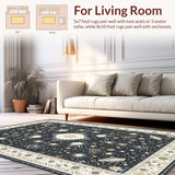 Ultra Soft Area Rug, Non Slip, Stain Resistant, Washable Area Rugs for Living Room, Bedroom, Striking Vintage Ethnic Accents(Black)