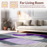 Ultra Soft Area Rug, Non Slip, Stain Resistant, Washable Area Rugs for Living Room, Bedroom, Luxurious Modern Graphic Arrangement(Gray)