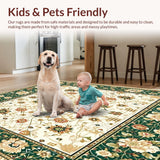 Ultra Soft Area Rug, Non Slip, Stain Resistant, Washable Area Rugs for Living Room, Bedroom, Neutral Beige Boho Area(Ivory)