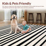 Ultra Soft Area Rug, Non Slip, Stain Resistant, Washable Area Rugs for Living Room, Bedroom, Linear Ebony Accent Rug, Woven Stripe Design, Graphic Woven Floor Covering(Black)