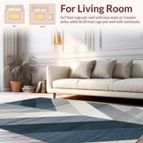 Ultra Soft Area Rug, Non Slip, Stain Resistant, Washable Area Rugs for Living Room, Bedroom, Stylish Subtle Ombre Design(Gray)