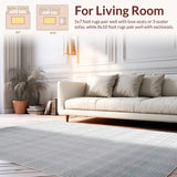 Ultra Soft Area Rug, Non Slip, Stain Resistant, Washable Area Rugs for Living Room, Bedroom, Luxurious Silver-Toned Design Elements(Gray)