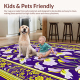 Ultra Soft Area Rug, Non Slip, Stain Resistant, Washable Area Rugs for Living Room, Bedroom, Vibrant Geometric Seasonal Accents(Purple)