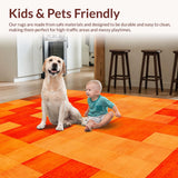 Ultra Soft Area Rug, Non Slip, Stain Resistant, Washable Area Rugs for Living Room, Bedroom, Burnt Orange Shag Rug for Cozy Teen Bedroom(Orange)