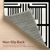 Ultra Soft Area Rug, Non Slip, Stain Resistant, Washable Area Rugs for Living Room, Bedroom, Chic Rustic Zebra Pattern Design(Beige)