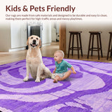 Ultra Soft Area Rug, Non Slip, Stain Resistant, Washable Area Rugs for Living Room, Bedroom, Chic Pastel Dreamy Hues(Purple)