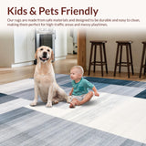 Ultra Soft Area Rug, Non Slip, Stain Resistant, Washable Area Rugs for Living Room, Bedroom, Sophisticated Light Gray Visual Texture(Blue)