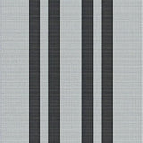 Contemporary Striped Monochrome Style(Black)