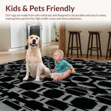 Ultra Soft Area Rug, Non Slip, Stain Resistant, Washable Area Rugs for Living Room, Bedroom, Trendy Chic Shag Style Rug(Black)