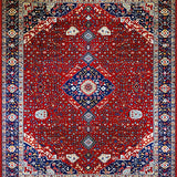 Ultra Soft Area Rug, Non Slip, Stain Resistant, Washable Area Rugs for Living Room, Bedroom, Elegant Red and Blue Medallion(Red)