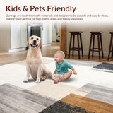 Ultra Soft Area Rug, Non Slip, Stain Resistant, Washable Area Rugs for Living Room, Bedroom, Non Skid Abstract Entry Beige & Grey Tones Modern Indoor Mat(Gray)