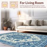 Ultra Soft Area Rug, Non Slip, Stain Resistant, Washable Area Rugs for Living Room, Bedroom, Elegant Transitional Abstract Pattern(Blue)