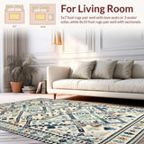 Ultra Soft Area Rug, Non Slip, Stain Resistant, Washable Area Rugs for Living Room, Bedroom, Contemporary Light Gray Aesthetic(White)