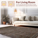 Ultra Soft Area Rug, Non Slip, Stain Resistant, Washable Area Rugs for Living Room, Bedroom, Chic Modern Rustic Print(Gray)