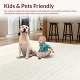 Ultra Soft Area Rug, Non Slip, Stain Resistant, Washable Area Rugs for Living Room, Bedroom, Rustic Textured Ombre Design(Beige)