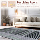 Contemporary Zebra Graphic Inspiration(Black)