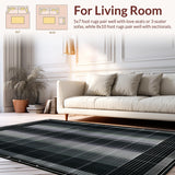 Ultra Soft Area Rug, Non Slip, Stain Resistant, Washable Area Rugs for Living Room, Bedroom, Sophisticated Geometric Artful Style(Black)