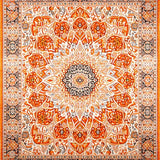 Ultra Soft Area Rug, Non Slip, Stain Resistant, Washable Area Rugs for Living Room, Bedroom, Stylish Whimsical Fringe Accents(Orange)
