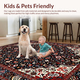 Ultra Soft Area Rug, Non Slip, Stain Resistant, Washable Area Rugs for Living Room, Bedroom, Cozy Earth Tone Pattern(Black)