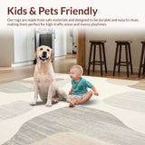 Ultra Soft Area Rug, Non Slip, Stain Resistant, Washable Area Rugs for Living Room, Bedroom, Area Modern Abstract Beige(Beige)