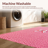 Ultra Soft Area Rug, Non Slip, Stain Resistant, Washable Area Rugs for Living Room, Bedroom, Aesthetic Pastel Pink Bath Mat with Non-Slip Design(Pink)