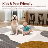 Ultra Soft Area Rug, Non Slip, Stain Resistant, Washable Area Rugs for Living Room, Bedroom, Non Shedding Beige Low Pile Slip Modern Design(Gray)