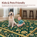 Ultra Soft Area Rug, Non Slip, Stain Resistant, Washable Area Rugs for Living Room, Bedroom, Contemporary Abstract Linear Theme(Green)