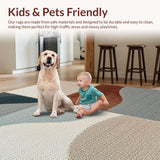 Ultra Soft Area Rug, Non Slip, Stain Resistant, Washable Area Rugs for Living Room, Bedroom, Modern Grey Brown Carpet for Home Office and Bedroom(Beige)