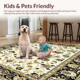 Ultra Soft Area Rug, Non Slip, Stain Resistant, Washable Area Rugs for Living Room, Bedroom, Beige Fuzzy Plush Area(Beige)