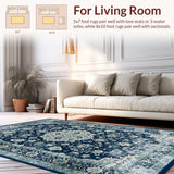Whimsical Vintage Distressed Aesthetic(Blue)