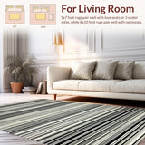 Ultra Soft Area Rug, Non Slip, Stain Resistant, Washable Area Rugs for Living Room, Bedroom, Midnight Echo: Black & White Abstract Striped Rug Design(Black)