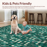 Ultra Soft Area Rug, Non Slip, Stain Resistant, Washable Area Rugs for Living Room, Bedroom, Rustic Linear Artful Composition(Green)